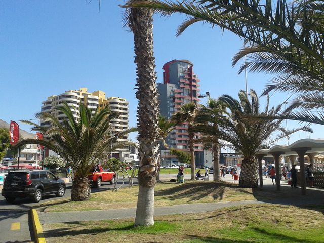 Balneario Municipal Y Costanera Central