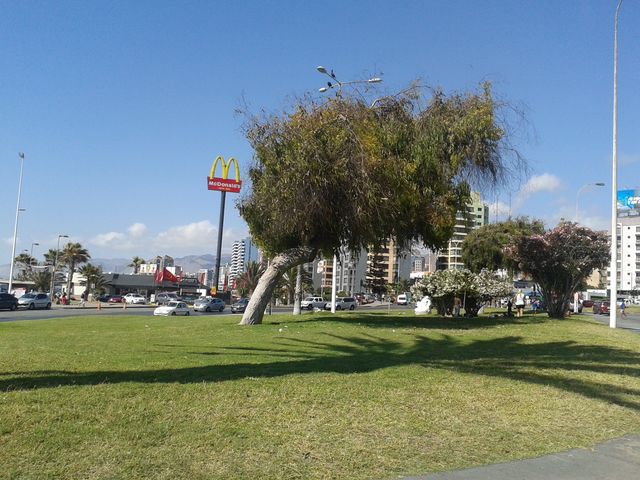 Balneario Municipal Y Costanera Central