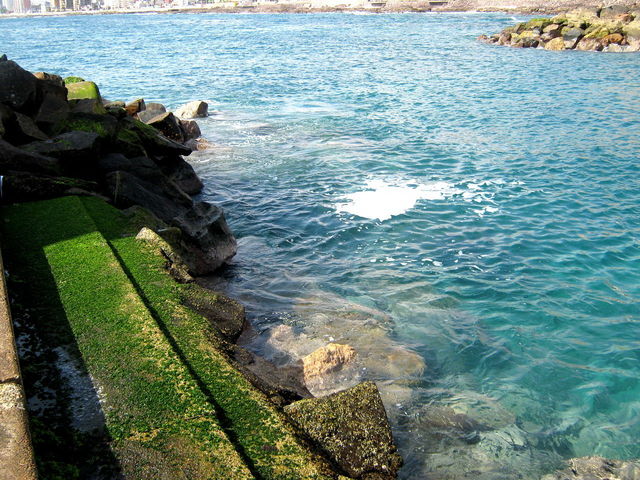 Balneario Municipal Y Costanera Central